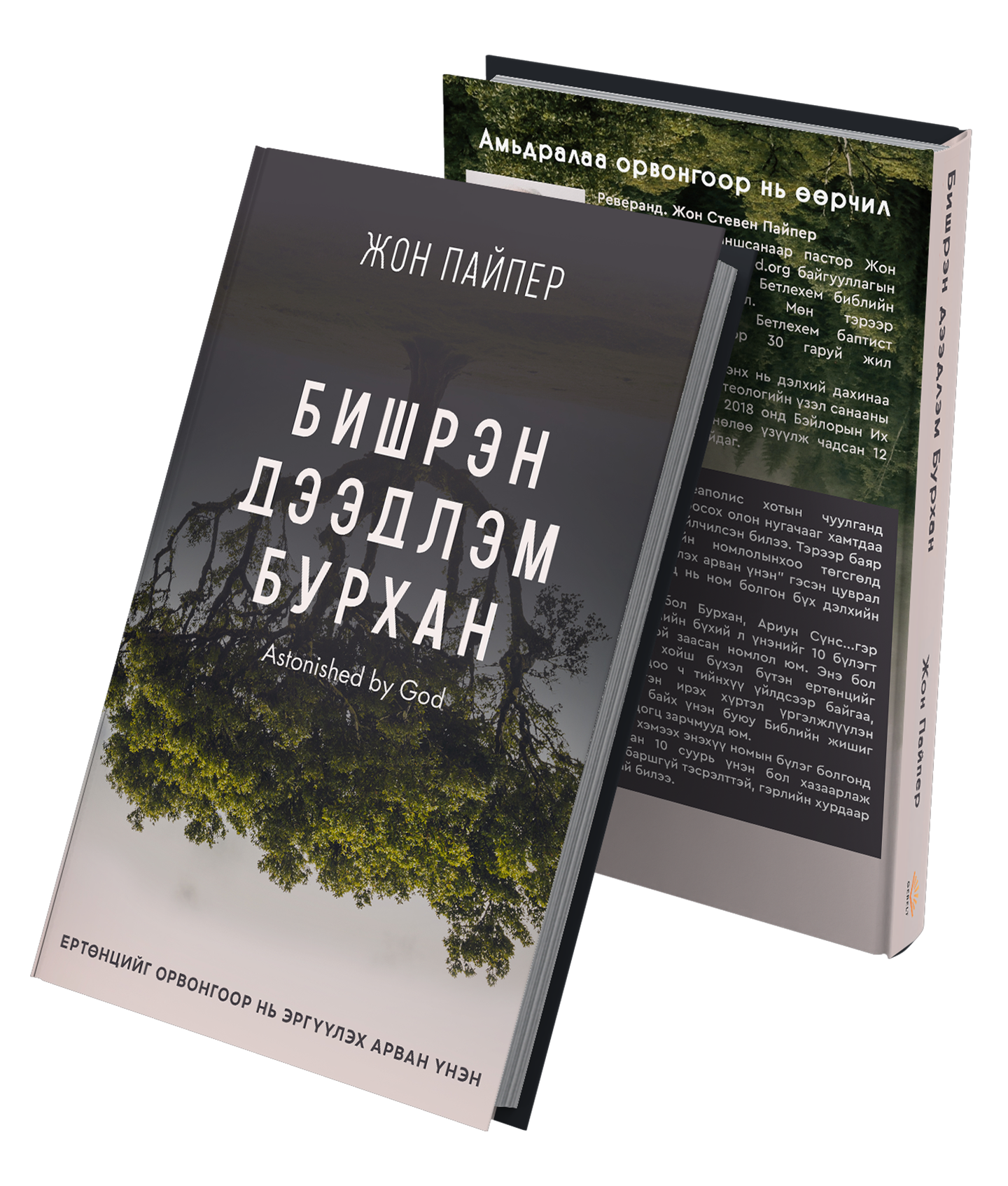 БИШРЭН ДЭЭДЛЭМ БУРХАН